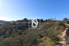 Terreno Rstico T0 - Fregim, Amarante, Porto - Miniatura: 5/23