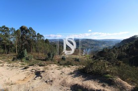 Terreno Rstico T0 - Fregim, Amarante, Porto - Miniatura: 6/23