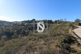 Terreno Rstico T0 - Fregim, Amarante, Porto - Miniatura: 7/23