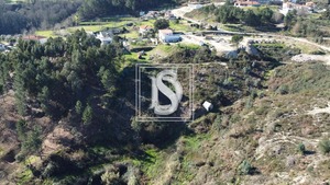 Terreno Rstico T0 - Fregim, Amarante, Porto - Miniatura: 17/23