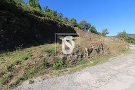 Terreno Rstico T0 - Amarante, Amarante, Porto - Miniatura: 4/9