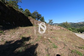 Terreno Rstico T0 - Amarante, Amarante, Porto - Miniatura: 5/9