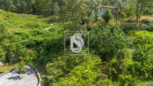 Terreno Rstico T0 - JAZENTE, Amarante, Porto - Miniatura: 5/21