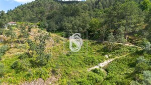 Terreno Rstico T0 - JAZENTE, Amarante, Porto - Miniatura: 6/21