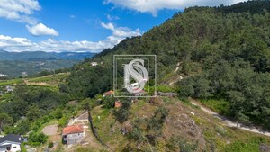 Terreno Rstico T0 - JAZENTE, Amarante, Porto - Miniatura: 8/21