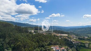 Terreno Rstico T0 - JAZENTE, Amarante, Porto - Miniatura: 12/21