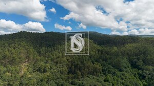 Terreno Rstico T0 - JAZENTE, Amarante, Porto - Miniatura: 13/21