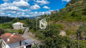 Terreno Rstico T0 - JAZENTE, Amarante, Porto - Miniatura: 17/21