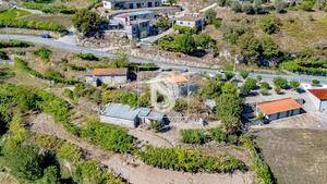 Terreno Rstico T0 - Grilo, Baio, Porto - Miniatura: 13/40