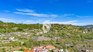 Terreno Rstico T0 - Grilo, Baio, Porto - Miniatura: 17/40