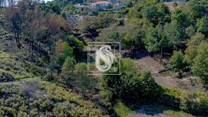 Terreno Rstico T0 - Grilo, Baio, Porto - Miniatura: 18/40