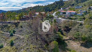Terreno Rstico T0 - Grilo, Baio, Porto - Miniatura: 19/40
