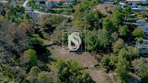 Terreno Rstico T0 - Grilo, Baio, Porto - Miniatura: 20/40