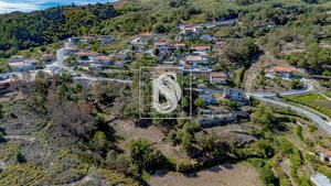 Terreno Rstico T0 - Grilo, Baio, Porto - Miniatura: 23/40