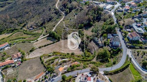 Terreno Rstico T0 - Grilo, Baio, Porto - Miniatura: 24/40