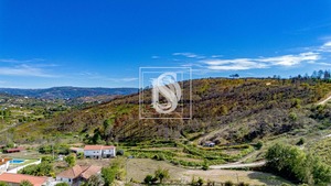 Terreno Rstico T0 - Grilo, Baio, Porto - Miniatura: 26/40