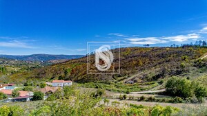 Terreno Rstico T0 - Grilo, Baio, Porto - Miniatura: 27/40