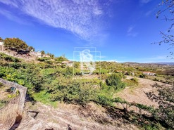 Terreno Rstico T0 - Grilo, Baio, Porto - Miniatura: 32/40