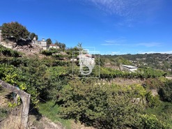 Terreno Rstico T0 - Grilo, Baio, Porto - Miniatura: 33/40