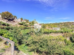 Terreno Rstico T0 - Grilo, Baio, Porto - Miniatura: 34/40
