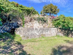 Terreno Rstico T0 - Grilo, Baio, Porto - Miniatura: 35/40