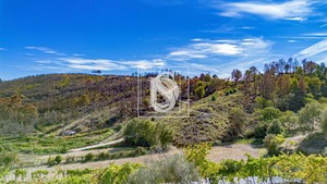 Terreno Rstico T0 - Grilo, Baio, Porto - Miniatura: 36/40