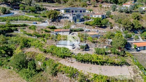 Terreno Rstico T0 - Grilo, Baio, Porto - Miniatura: 37/40