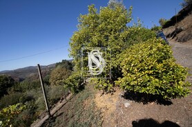 Moradia T2 - REBORDELO, Amarante, Porto - Miniatura: 19/20