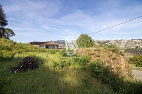 Terreno R�stico T0 - Amarante, Amarante, Porto - Miniatura: 8/19