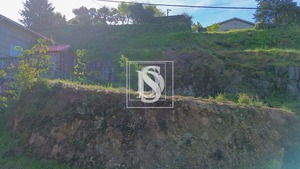 Terreno R�stico T0 - Amarante, Amarante, Porto - Miniatura: 11/19