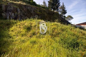 Terreno R�stico T0 - Amarante, Amarante, Porto - Miniatura: 14/19