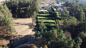 Terreno R�stico - Tel�es, Amarante, Porto - Miniatura: 1/18