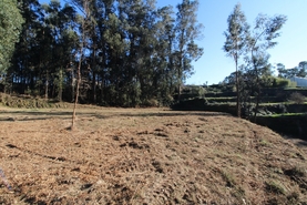 Terreno R�stico - Tel�es, Amarante, Porto - Miniatura: 7/18