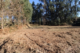 Terreno R�stico - Tel�es, Amarante, Porto - Miniatura: 8/18
