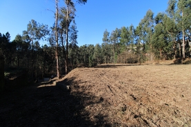 Terreno R�stico - Tel�es, Amarante, Porto - Miniatura: 11/18