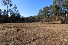 Terreno R�stico - Tel�es, Amarante, Porto - Miniatura: 14/18