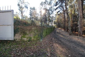 Terreno R�stico - Tel�es, Amarante, Porto - Miniatura: 15/18