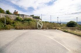 Terreno R�stico - Amarante, Amarante, Porto - Miniatura: 11/15