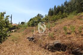 Terreno R�stico - Salvador do Monte, Amarante, Porto - Miniatura: 1/7
