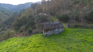 Terreno R�stico - Ansi�es, Amarante, Porto - Miniatura: 1/9