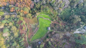 Terreno R�stico - Ansi�es, Amarante, Porto - Miniatura: 5/9