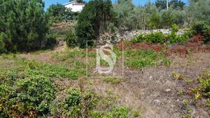 Terreno R�stico - Ancede, Bai�o, Porto - Miniatura: 19/29