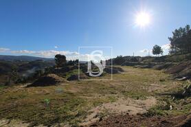 Terreno R�stico - Fregim, Amarante, Porto - Miniatura: 8/23