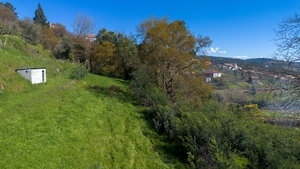 Terreno R�stico - Ancede, Bai�o, Porto - Miniatura: 12/25