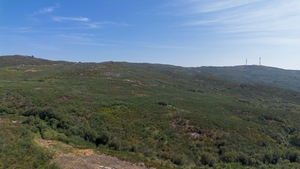 Terreno R�stico - Gouveia (S�o Sim�o), Amarante, Porto - Miniatura: 2/16