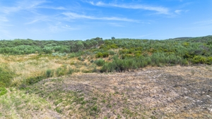 Terreno R�stico - Gouveia (S�o Sim�o), Amarante, Porto - Miniatura: 4/16