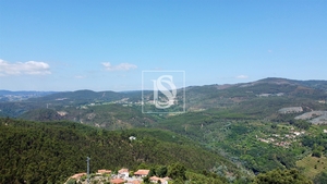 Moradia T1 - Gouveia (S�o Sim�o), Amarante, Porto - Miniatura: 37/43