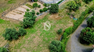 Terreno R�stico - Vila Garcia, Amarante, Porto - Miniatura: 5/7