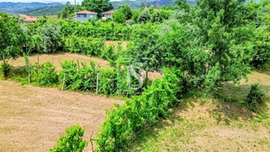 Terreno R�stico - Vila Garcia, Amarante, Porto - Miniatura: 7/7