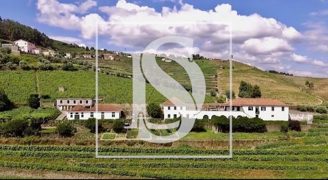 Quinta T5 - Sever, Santa Marta de Penaguião, Vila Real - Imagem grande